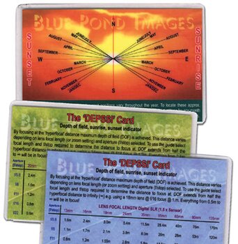 DEPPSI Card 